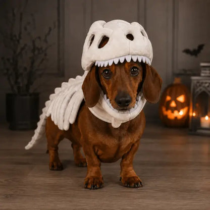 Costume Scheletro Dino - principale