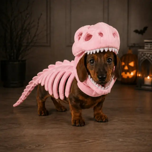 Costume Scheletro Dino - vista 2