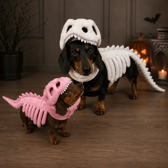 Costume Scheletro Dino - vista 6