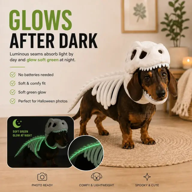 Costume Scheletro Dino - effetto glow