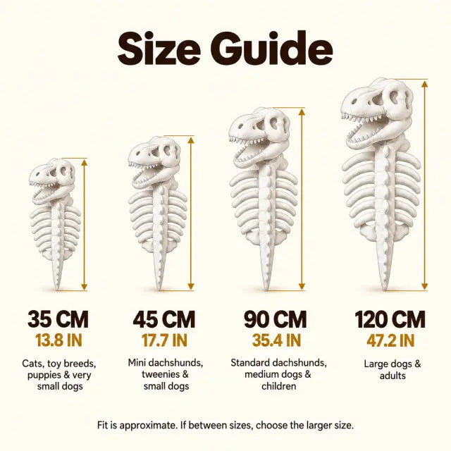 Costume Scheletro Dino - vista 7