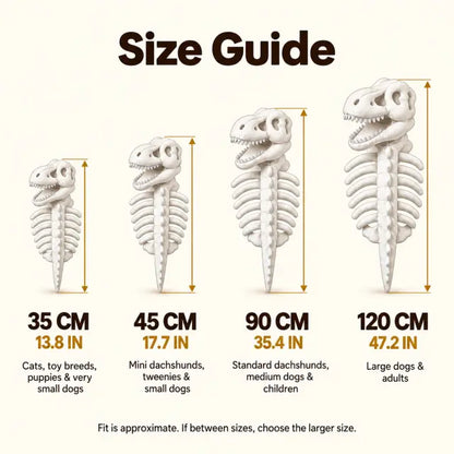 Costume Scheletro Dino - vista 7