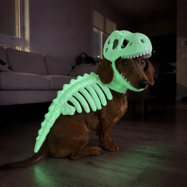 Costume Scheletro Dino - vista 5